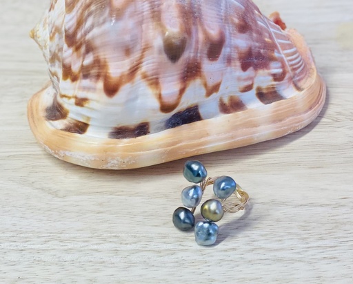 BAGUE HEVA KEISHIS