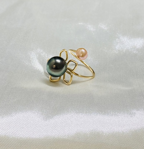 BAGUE TIPANIER