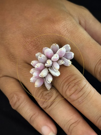 BAGUE PUPU